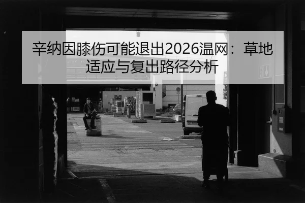 xin-na-yin-xi-shang-ke-neng-tui-chu-wen-wang-cao-di-shi-ying-yu-fu-chu-lu-jing-fen-xi-2-382.jpg