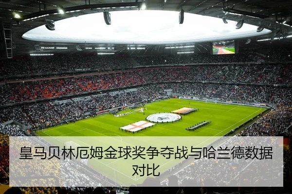 huang-ma-bei-lin-e-mu-jin-qiu-jiang-zheng-duo-zhan-yu-ha-lan-de-shu-ju-dui-bi-3-253.jpg