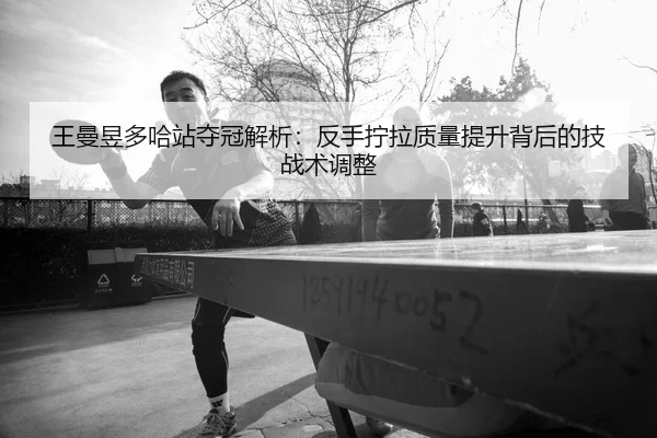 wang-man-yu-duo-ha-zhan-duo-guan-jie-xi-fan-shou-ning-la-zhi-liang-ti-sheng-bei-hou-de-ji-zhan-shu-tiao-zheng-2-553.jpg